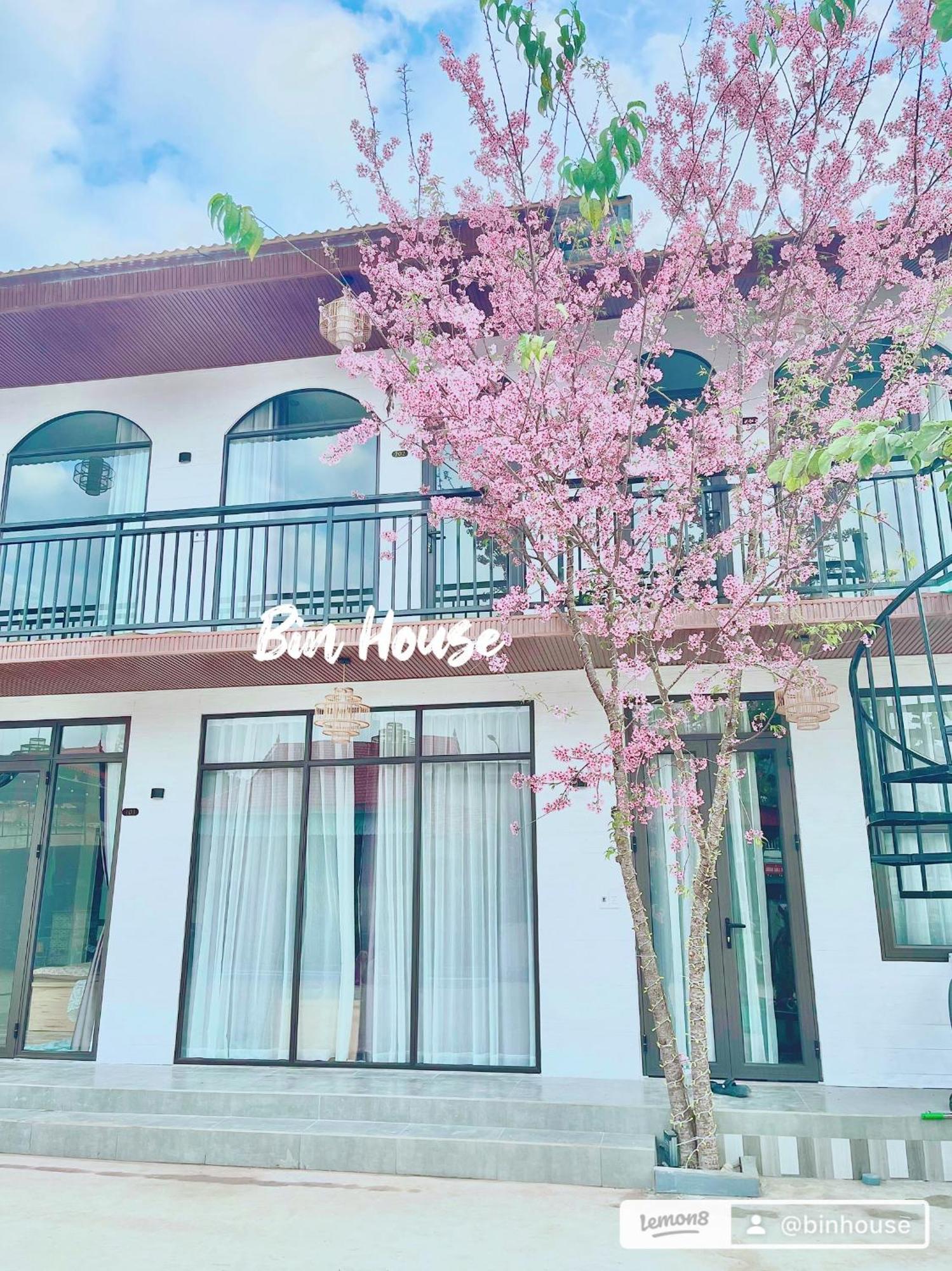 Bin House - Moc Chau Hotel Bagian luar foto