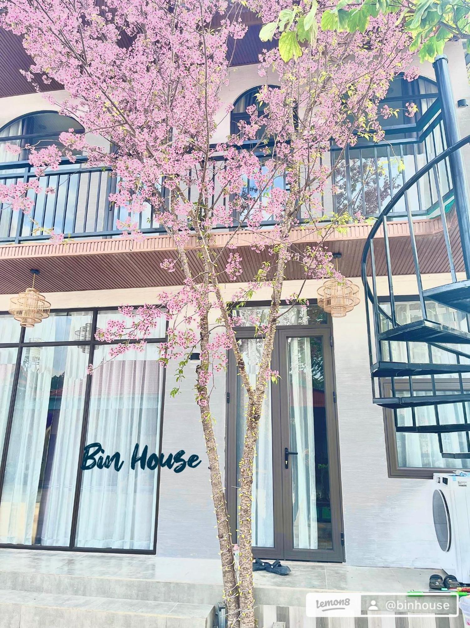 Bin House - Moc Chau Hotel Bagian luar foto
